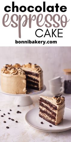 a chocolate espresso cake on a plate with the rest of the cake in the background