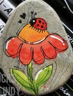 a painted rock with a lady bug on it