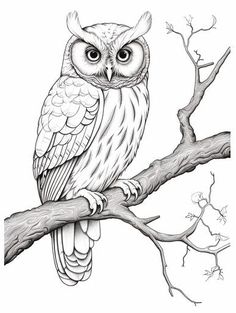 an owl sitting on top of a tree branch