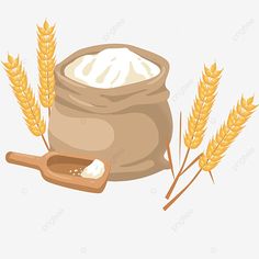 a bag of rice and some ears of wheat on a white background, food, grain, cereal png and psd