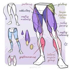 an image of the legs and feet with different types of leg muscles on it, including one