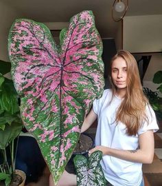 a woman holding up a large green and pink leaf in front of a potted plant