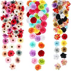 several different types of flowers are shown in this image