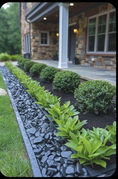 a garden with rocks and plants in front of a house