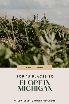 the ultimate guide to where to hope in michigan with wildflowers and plants on it