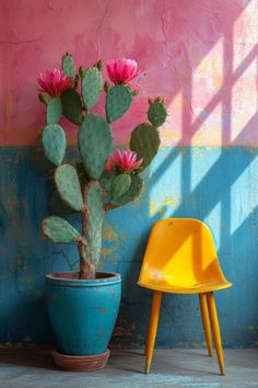 a potted cactus next to a yellow chair against a pink and blue painted wall