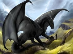 a black dragon standing on top of a hill next to a person in the distance