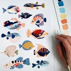 a person is holding a paintbrush and drawing on paper with different types of fish