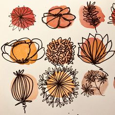 a bunch of flowers that are drawn on paper