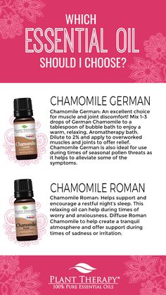 German Chamomile Essential Oil, Roman Chamomile Essential Oil, German Chamomile, Plant Therapy Essential Oils, Essential Oil Plants, Chamomile Essential Oil, Roman Chamomile, Plant Therapy