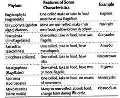 the different types of food that are in each language, and what they mean them to be