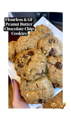 chocolate chip cookies on a white plate with the words flourless & gf peanut butter chocolate chip cookies