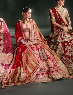 A luxurious anar bagh bridal lehenga crafted from velvet with intricate tissue inlays along the hem, adorned with embroidered ananas motifs and elegant jaal tissue patchwork, exuding timeless elegance and sophistication. Beach Wedding Guests, Jacket Cape, Ritu Kumar, Silk Organza, Kaftan Dress, Only Fashion, Silk Velvet, Bridal Lehenga, Raw Silk