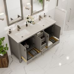 a bathroom with two sinks, mirrors and plants in the corner on the counter top