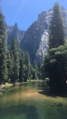 a river surrounded by trees with mountains in the background