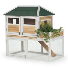 a white and green chicken coop with plants growing out of the top window sill