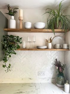 some plants are sitting on shelves in the kitchen