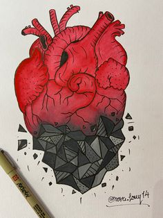 a drawing of a human heart on a piece of paper next to a crayon marker