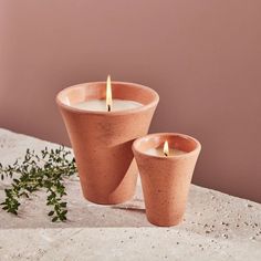 two candles sitting on top of a table next to some green plants and leaves in front of a pink wall