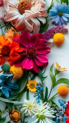 an assortment of colorful flowers arranged on top of each other