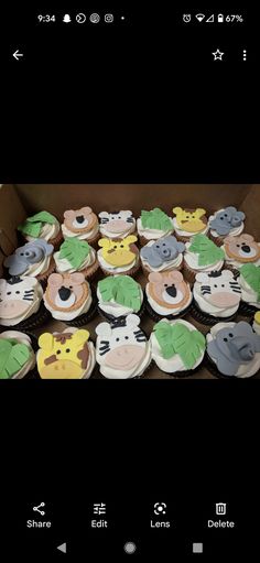 a box filled with lots of cupcakes decorated like animals and giraffes