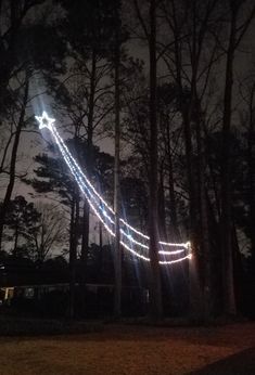 a long string of lights hanging from the side of a tree