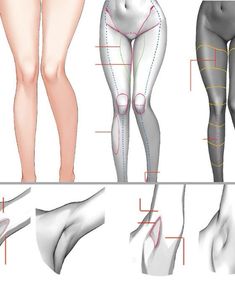 the diagram shows different types of legs and butts