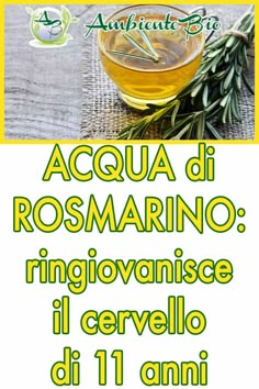 Bere una tazza di acqua di rosmarino al giorno è in grado di aumentare la nostra capacità di memorizzare informazioni fino al 15%.