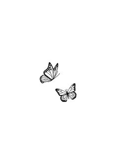 two butterflies flying side by side in the sky