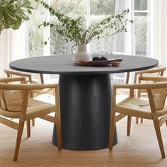 a dining table with chairs around it and a potted plant on the table top