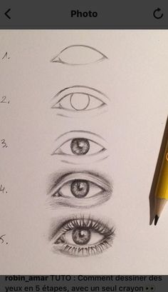 a pencil drawing of different types of eyes