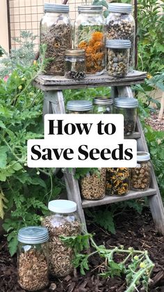 an old ladder is filled with jars full of herbs and spices in the garden,