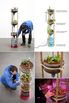 four pictures showing different stages of growing plants from seed to potted plant, with instructions on how to use them