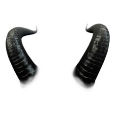 two black horns are shown in the shape of an animal's tail, with white background