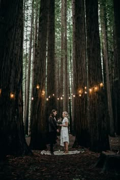 a couple standing in the middle of a forest surrounded by tall trees with lights strung from them