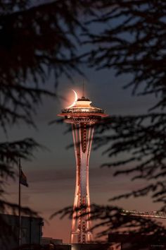 the space needle in seattle at night