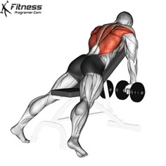 an image of a man doing squats with dumbbells on his chest and back