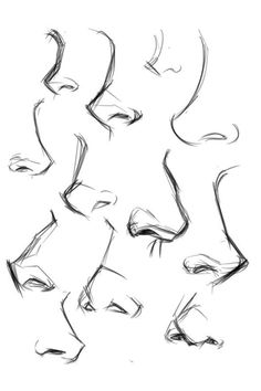 an image of a set of sketches of human head and body parts on white background