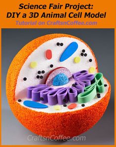 3-d-animal-cell-model Cell Model Project, Plant Cell Model, Animal Cell Project, 3d Cell