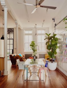 a living room filled with lots of furniture and a large plant on top of a table