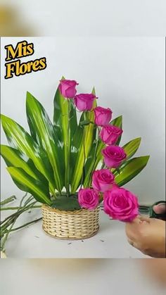 pink roses in a basket on a table