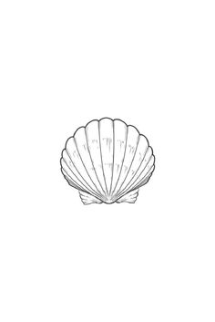 a drawing of a scallop shell on a white background with the word sea written below it