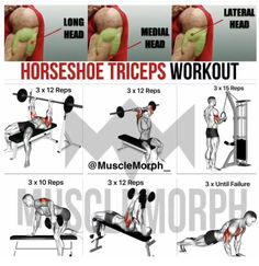 Traps Workout, Gym Workout Chart, Planet Fitness, Muscle Building Workouts, Weight Training Workouts, Workout Chart