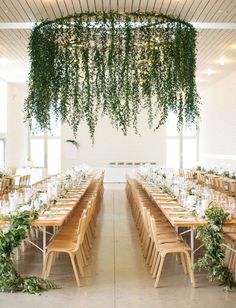 a long table with wooden chairs and greenery hanging from the ceiling in a large room