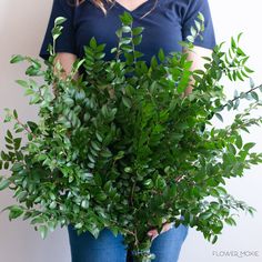 a woman holding a potted plant in her hands