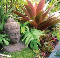 a buddha statue sitting in the middle of a lush green garden filled with flowers and plants