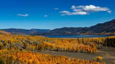 an aerial view of the mountains and trees with yellow leaves on them, in autumn