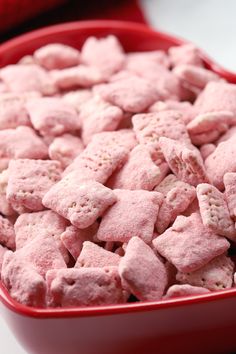 there is a red bowl full of pink dog biscuits in it's side dish