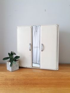 an old fashioned white double door cabinet next to a potted plant