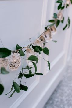 some white flowers and green leaves are hanging on the wall